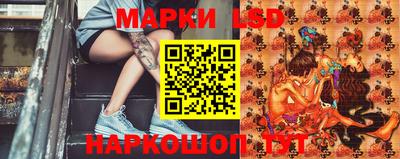 мдпв Будённовск