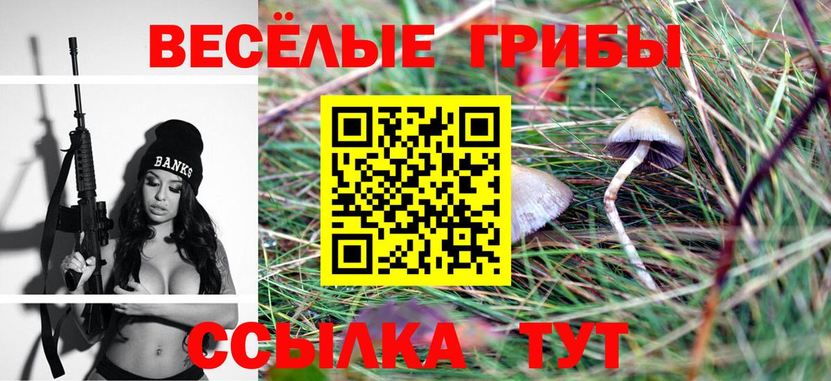 Галлюциногенные грибы ЛСД Белово