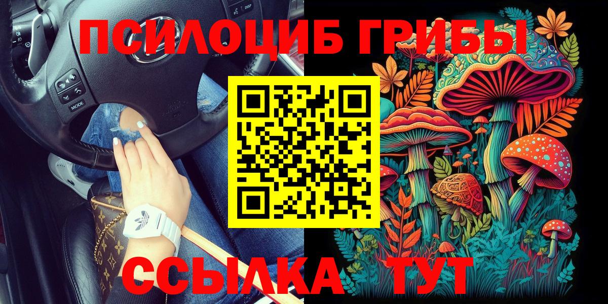 Белово  Псилоцибиновые грибы GOLDEN TEACHER  Вход с VPN 